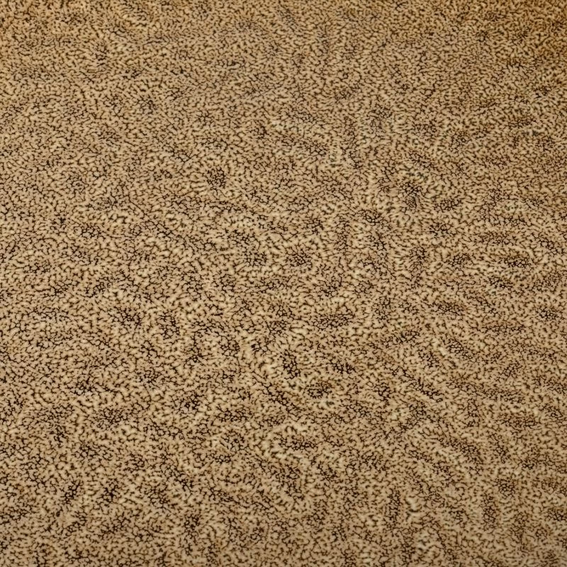 Leonardo Assiettes Matera III (lot De 6) 19 Leonardo Assiettes Matera III (lot De 6) – Image 19