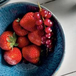 Leonardo Bols En Céramique Matera (lot De 6) -Entrez dans ma vaisselle. 1000262402 230317 020 MOOD DETAILS P000000001000262402 mood