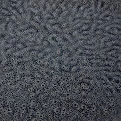 Leonardo Assiettes Matera III (lot De 6) 32 Leonardo Assiettes Matera III (lot De 6) -Entrez dans ma vaisselle. 1000262410 230317 031 DETAILS P000000001000262410