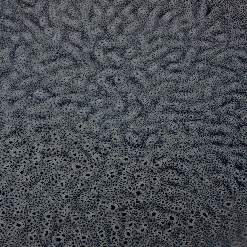 Leonardo Assiettes Matera III (lot De 6) 13 Leonardo Assiettes Matera III (lot De 6) – Image 13