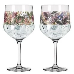 Verres à Cocktail Fauna I (lot De 2)