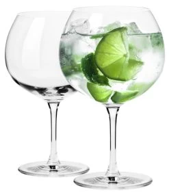 Duet Verres à Gin