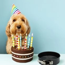 Moule à Charnière Petit En Lot De 5 -Entrez dans ma vaisselle. 369d341b437045dbacc32e0a11ac85d5