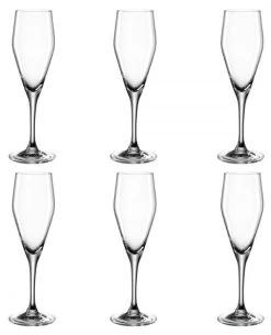 Leonardo Lot De 6 Coupes à Champagne 220ml